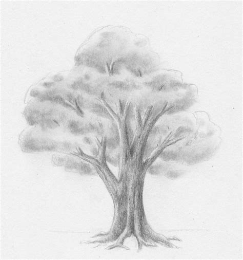 Juli 2019 add comment edit. Laub - Baum - zeichnen lernen - Zeichenkurs