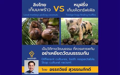 Check spelling or type a new query. การเมือง - 'อรรถวิชช์'งัด'หมูฝรั่งเก็บเห็ด'ย้อนเกล็ดPETA ...