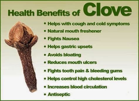 Simply apply few drops of clove oil on. rainbowdiary: Health Benefits Of Cloves