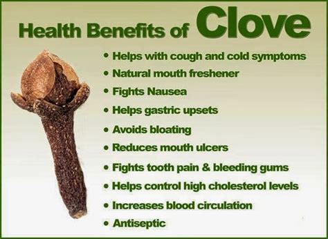 rainbowdiary: Health Benefits Of Cloves