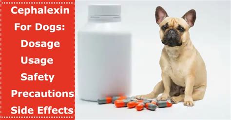 Problems when switching dog food no matter how gradually you switch your dog's food over, sometimes they still get stomach upset. Cephalexin For Dogs: Dosage, Usage, Safety, Precautions ...