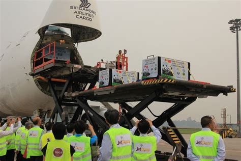 Kai kai, the male giant panda, turns 12 and female giant panda, jia jia , turns 11. Kai Kai & Jia Jia Arrived In Singapore On Singapore ...