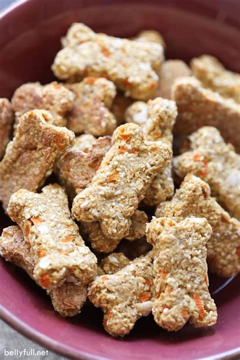 But your pudgy friend need not worry with this low fat carrot and banana dog treat recipe. Healthy Low Fat Dog Biscuit Recipes - Image Of Food Recipe