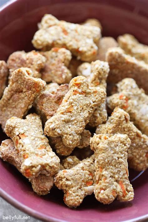 I took an allrecipes recipe for peanut butter and pumpkin dog treats. Healthy Low Fat Dog Biscuit Recipes - Image Of Food Recipe