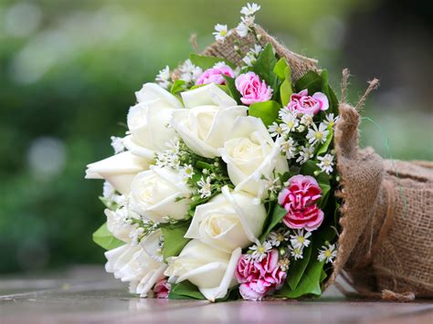 Like death you give white flowers to bless them or to r.i.p or roses for love or different kinds of flowers to congrat someone or flowers to make he would like blue flowers. What to Send Guys Instead of Flowers ⋆ FloraQueen