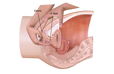 The baby died on the 2nd day after birth. Solo G Spot Orgasm | Your Guide to Solo Vaginal & G Spot ...