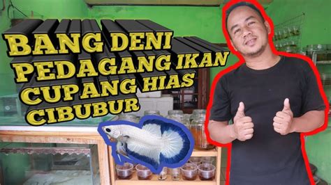 Satu sumber segar massage menyediakan layanan urut dengan sistem panggilan ke tempat. TUKANG URUT BERJUALAN IKAN CUPANG - YouTube