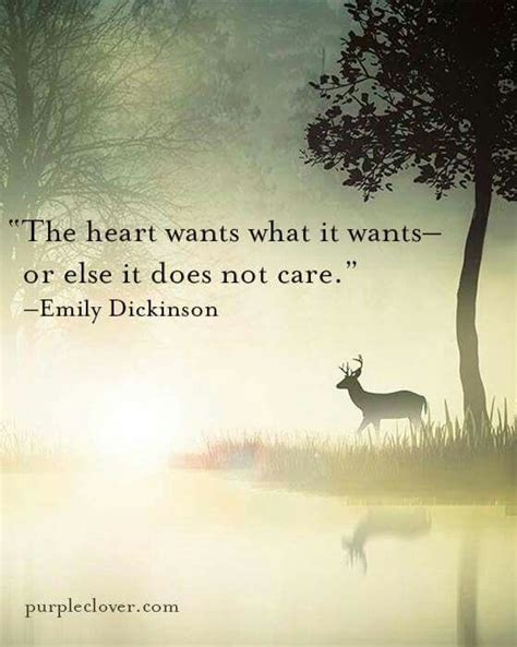 Sometimes i'm terrified of my heart; The heart wants what it wants | Emily dickinson, Want quotes, Dickinson