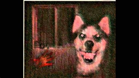 Search, discover and share your favorite smiling dog gifs. loquendo creepypasta de smile dog - YouTube