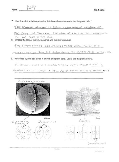 Ch 9 study guide answers doc ap biology chapter 9 guided openstax reading guides the biology corner ap biology chapter 8 reading guide answers the complete ap biology review guide for 2021. Guided Reading Activity 1 2 Trade Offs Answer Key - 1000 ideas about guided reading activities ...