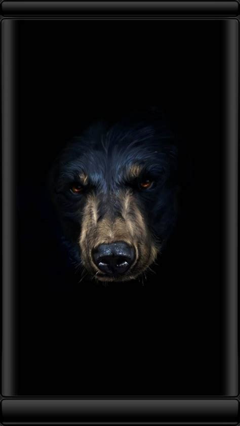 We did not find results for: Black Bear Phone Wallpapers - Wallpaper Cave