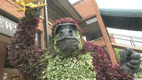 We also offer floral delivery to. SC Festival of Flowers kicks off in Greenwood - YouTube