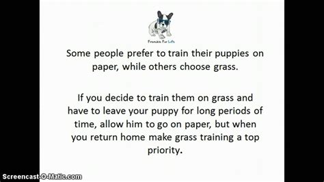 When we talk about the french bulldog breed , the good news is that it is highly intelligent and easy to train. How To Do Basic French Bulldog Potty Training - YouTube