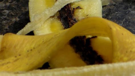 Top view of brown spotted bananas. red fungus inside bananas 1 - YouTube