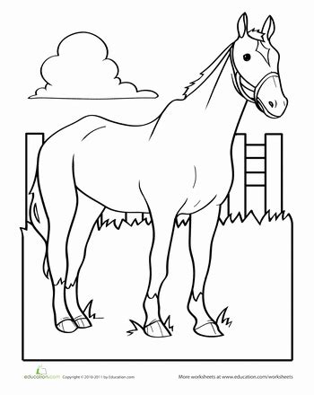 Children want to dye the horse's mane in one color. Slideshow: Horse Coloring Pages | Horse coloring pages ...