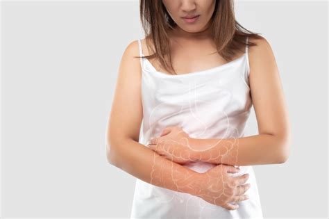 The uterus is divided into three parts: Premium Photo | Illustration of the intestine and internal ...