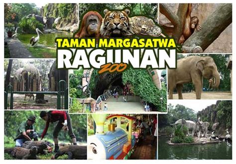 Dalam foto dari akun twitter @halocilukba yang dipotret minggu (9/6/2019). Pemandangan di Kebun Binatang Ragunan+ Spot Foto Menarik ...
