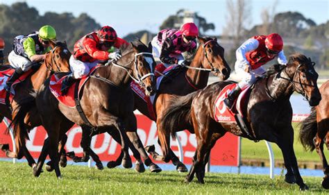 Sa racing predictions are available from the top south african racecourses. Horse Racing Tips: Best Bets from Bangor, Carlisle ...