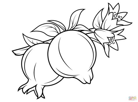 Download Coloring Pages For Ipad at GetDrawings | Free download