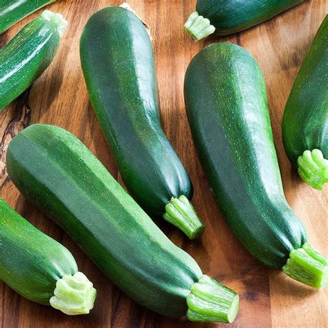 The seeds should be planted about an inch (2.5 cm.) deep. Black Beauty Zucchini Squash (25 seeds) | Zucchini plants ...
