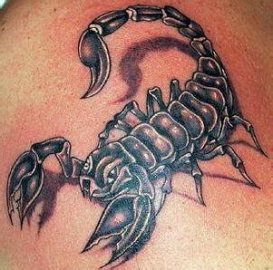 Voir plus d'idées sur le thème tatouage scorpion, tatouage, idées de tatouages. Modèle dessin de tatouage scorpion