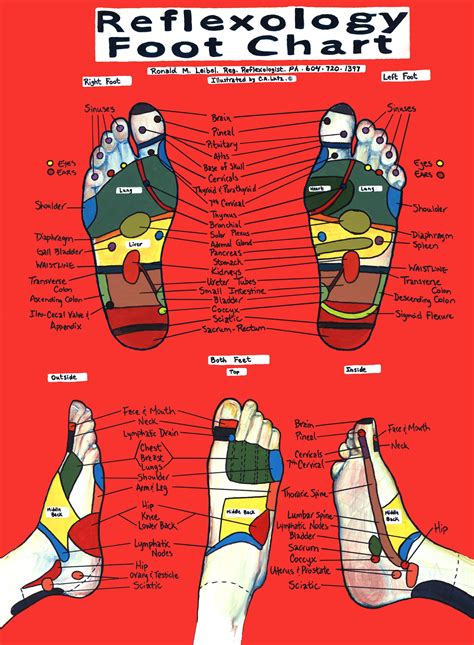 In part, knowing how to be a good lover means knowing how to touch. Advanced Reflexology