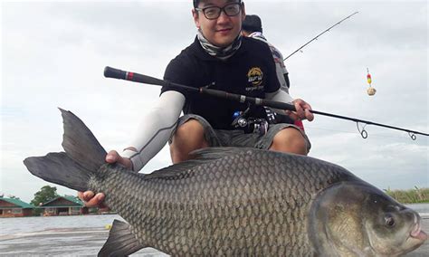 Namun, fakta membuktikan bahwa penyakit mata ikan ini juga bisa muncul di seluruh area kulit tubuh kita, tidak terkecuali wajah. Sejarah Ringkas Ikan Katla aka Karak - Umpan