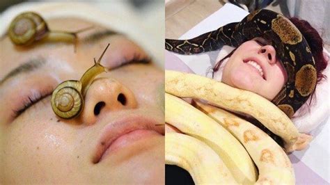 Check spelling or type a new query. 4 Metode Aneh yang Dilakukan Wanita Demi Terlihat Cantik, Ada Masker Siput Hingga Pijat Ular ...