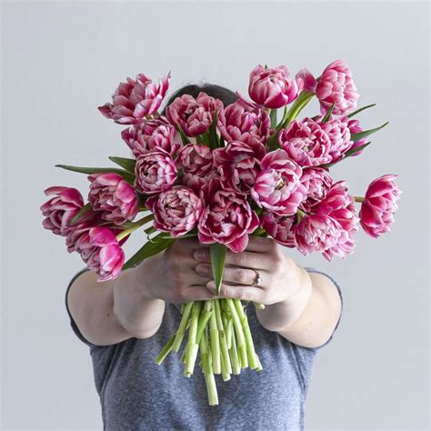 Check spelling or type a new query. Farmgirl Flowers Coupon Code October 2020 : Waitrose ...