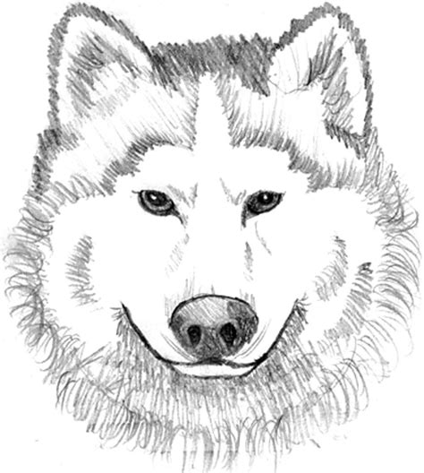 Supercoloring.com is a super fun for all ages: printable wolf face coloring page - Clip Art Library