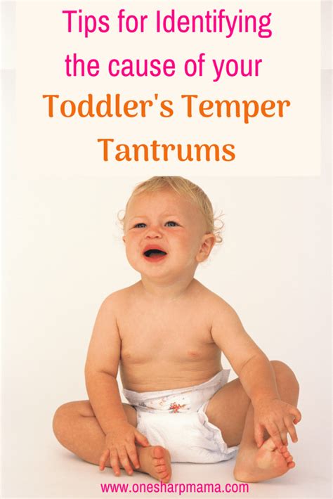 Letting him know when you're going to. Tips for handling the Temper Tantrum Meltdowns | Tantrums ...