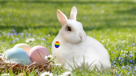 The eggs may be real ones that have been painted, chocolate ones or colored plastic ones that may or may not contain candy. Easter Bunny Confirms Rumors That Marlon Bundo Is Gay