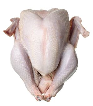 That and other thanksgiving faqs answered. My First Turkey (and Maybe My Last?) | HuffPost