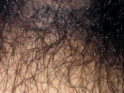 Banyak pilihan untuk jenis cerita sex yang bisa anda baca,dan disinipun juga sudah ada menyediakan berbagai macam jenis judul untuk cerita sex yang kesemuanya bisa dibaca hanya disini.cerita. Foto Bulu Jembut Lebat | Video Bokep Ngentot