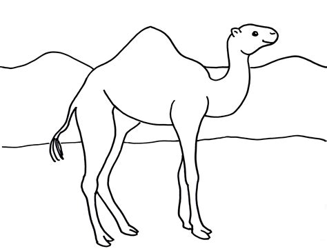 Select from 35870 printable coloring pages of cartoons, animals, nature, bible and many more. Camels Coloring Pages: Free Printable Camels Coloring Pages