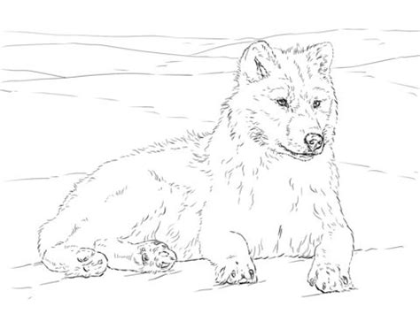 960x720 free printable wolf coloring sheets anime pages many interesting. Pin on ausmalbilder