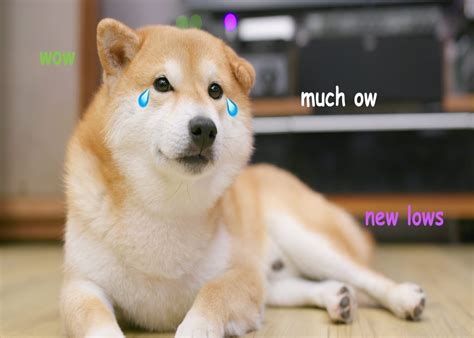 DOGE Price Prediction: Dogecoin On The Brink Of A 50 ...