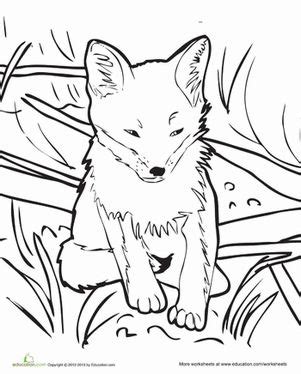 Malvorlagen tiere fuchs fuchs straffiert ausmalbild malvorlage tiere. Baby Fox Coloring Page | Tiere zeichnen, Bilder und Fuchs