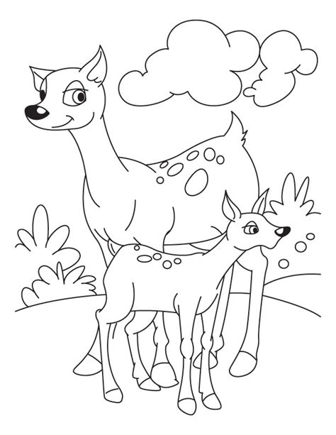 Enjoy free printable deers coloring pages suitable for young children, toddlers, preschool and kindergarten. Fawn with deer coloring pages | Download Free Fawn with ...