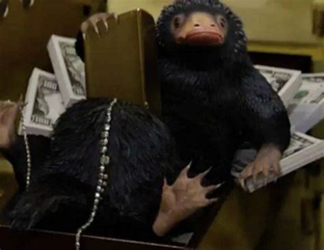 Browse and share the top phantastische tierwesen niffler gifs from 2021 on gfycat. Kinocharts: „Phantastische Tierwesen" bleibt dem Erfolg ...