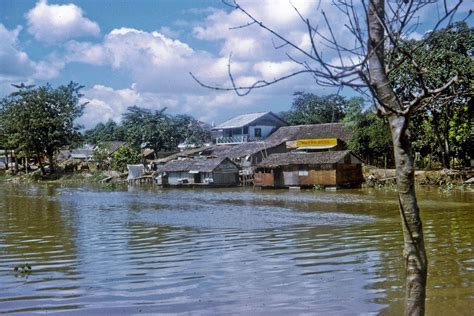 Không tả cảnh nhưng lại gợi cảnh. Nam Ròm: Vài hình xưa Cần Thơ 1968 | Nấm rơm, Hình, Việt nam