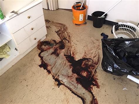 Images photos vector graphics illustrations videos. NSFW: The Shocking Reality of Crime Scene Cleanup | True ...