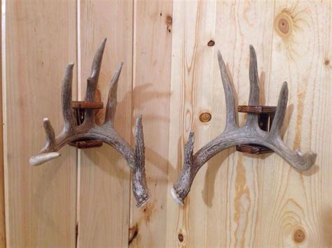 We provide custom european mounts, halfsize, lifesize mounts for deer, turkey, waterfowl, upland bird and most other north american game species. Shed mounts. | Shed antlers, Shed antler display ideas ...