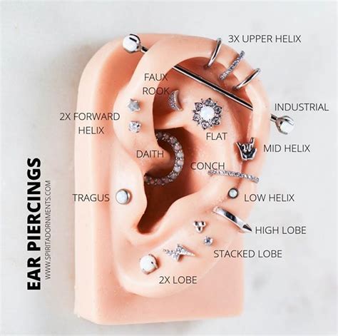 The flat back is perfect for piercings that require a close fit. Gift Card in 2020 | Ear piercings chart, Piercings ...