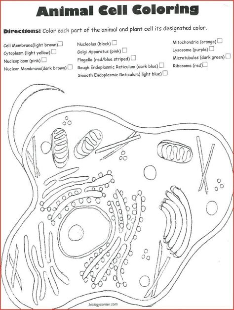 Check spelling or type a new query. 20 Plant and Animal Cell Coloring Worksheets in 2020 ...