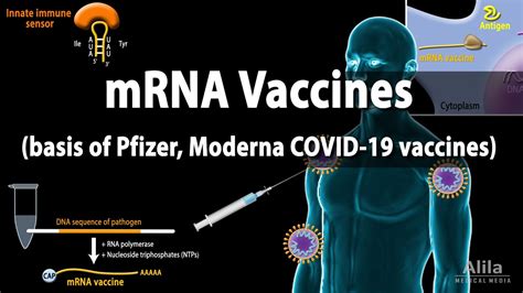 Vaccine companies, like the biotech industry, desire novel beyond manufacturing advantages, mrna technology is impacting vaccine discovery and research. Pfizer Vaccine Covid 19 Mrna : Pfizer Vaccines Covid 19 ...