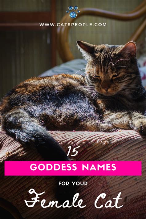 We did not find results for: 15 Goddess Names for Female Cats | Cats, Cat parenting ...