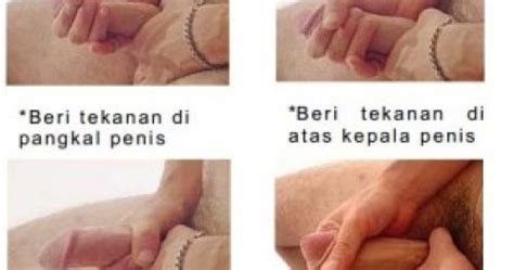 Mampu mempertahankan kejantatan, ereksi kuat dan kencang seperti yang di inginkan pria dalam melakukan. CARA URUT MEMPERBESAR ALAT VITAL