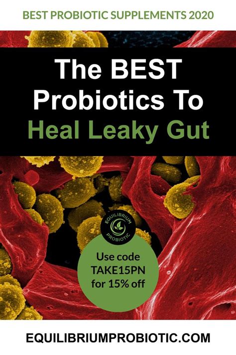 Maybe you would like to learn more about one of these? The Best Probiotics To Heal Leaky Gut - Equilibrium ...