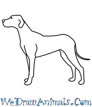 How to draw animal lefs. Pin on Drawing, Coloring pages